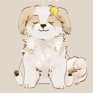 Meet your Posher, Jo